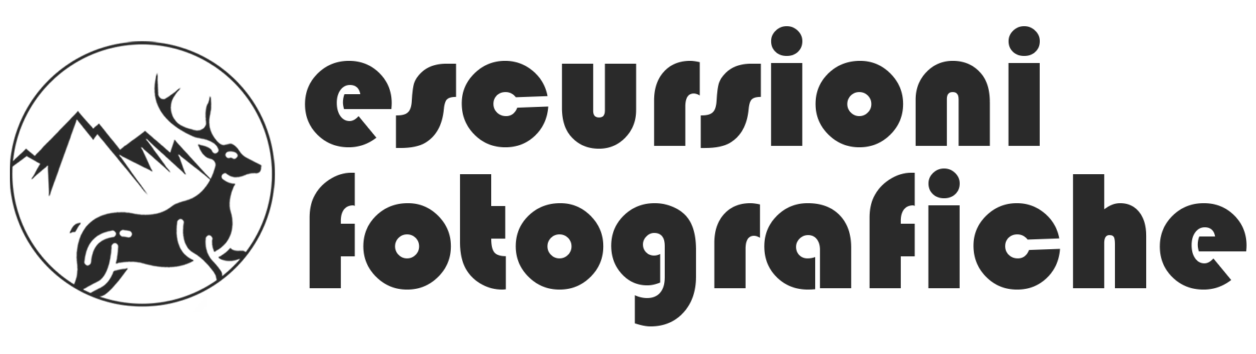 Logo EF 2023 black rettangolo